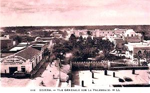 BISKRA - PALMERAIE - VUE GENERALE